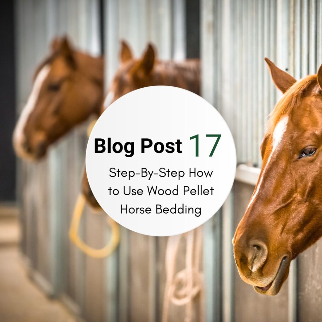 Step-By-Step Guide for How to Use Wood Pellet Horse Bedding.