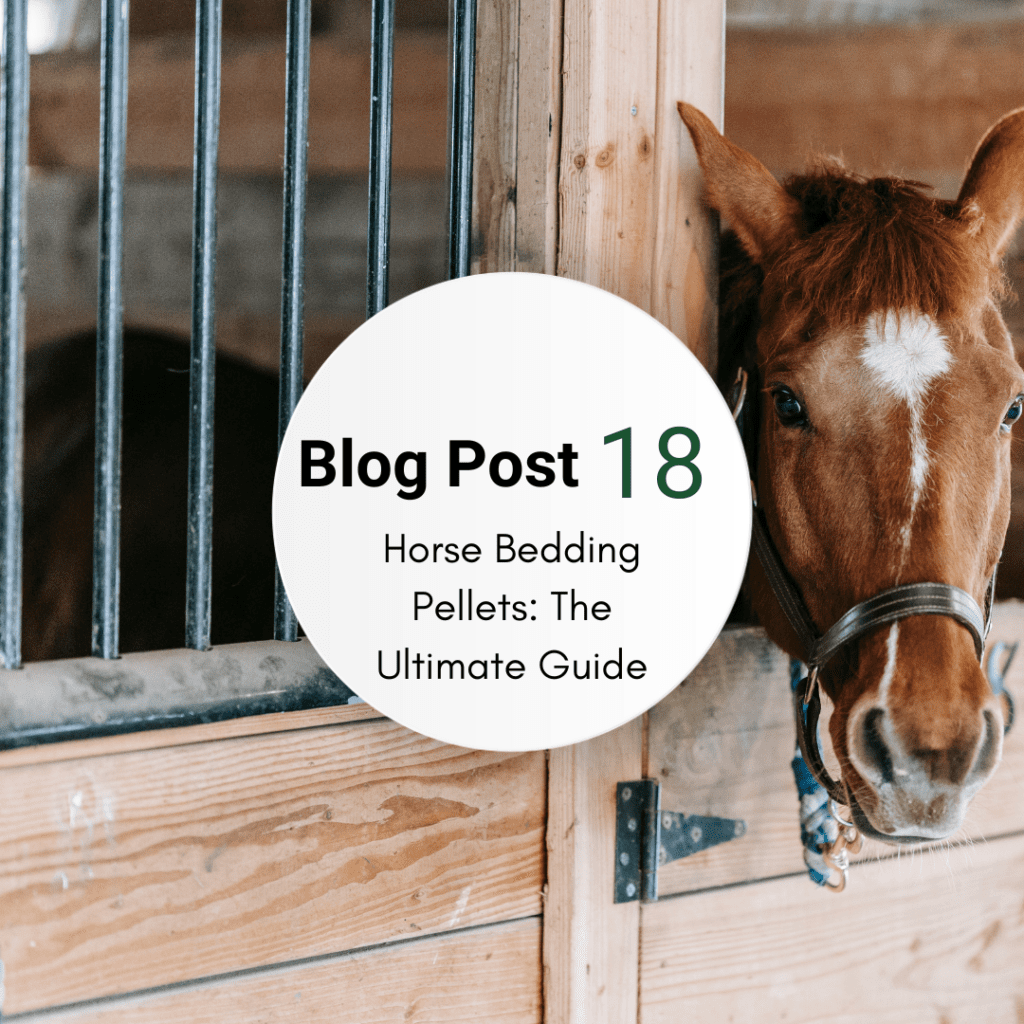 Horse Bedding Pellets: The Ultimate Guide