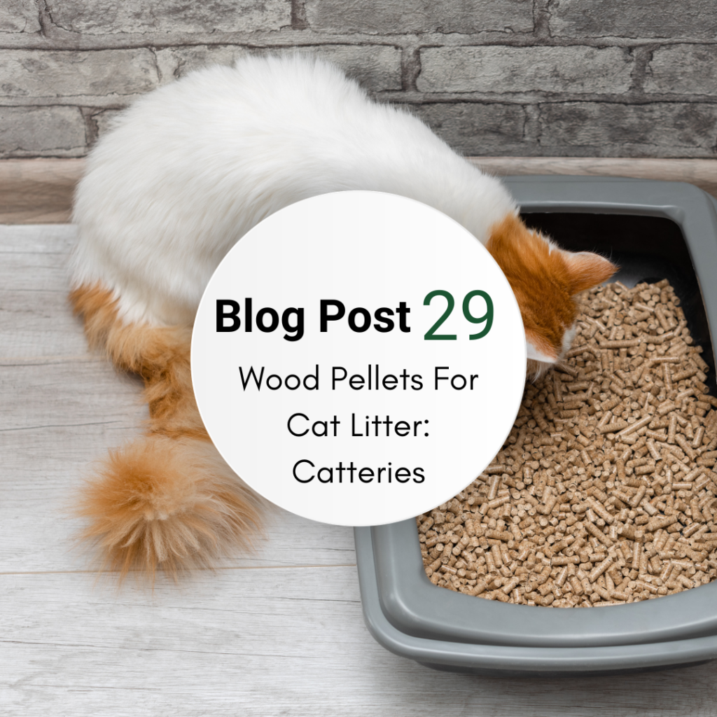 Wood pellets for cat litter in a tray, showing a low-dust alternative to traditional clay litter for catteries
